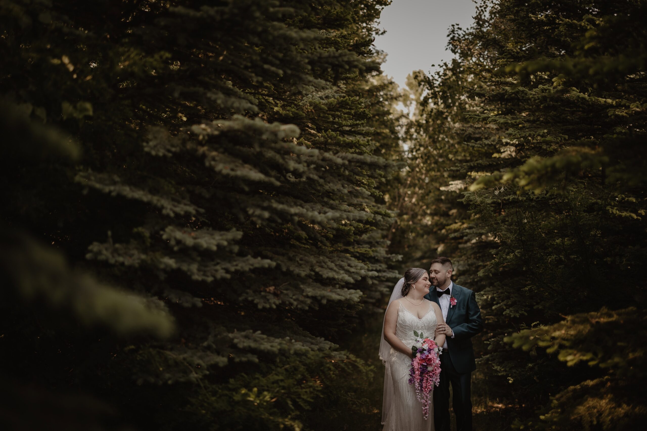 Alberta Wedding Photographs